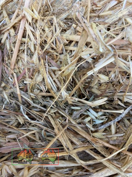 Oaten Horse Hay Small Squares ($/Bale Barron Pack of 21) - photo 4