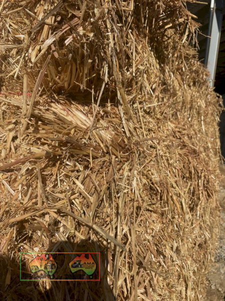 Oaten Horse Hay Small Squares ($/Bale Barron Pack of 21) - photo 3