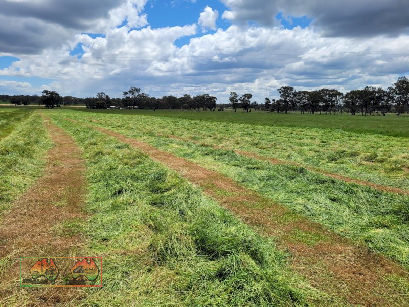 40x  Rolls of Sub & Rye Hay ($/bale) - photo 2