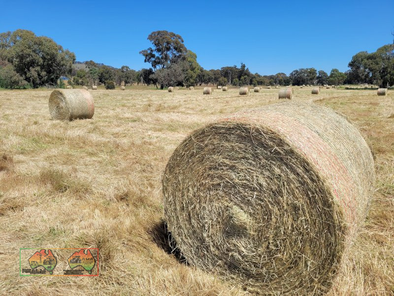 40x  Rolls of Sub & Rye Hay ($/bale) - photo 6