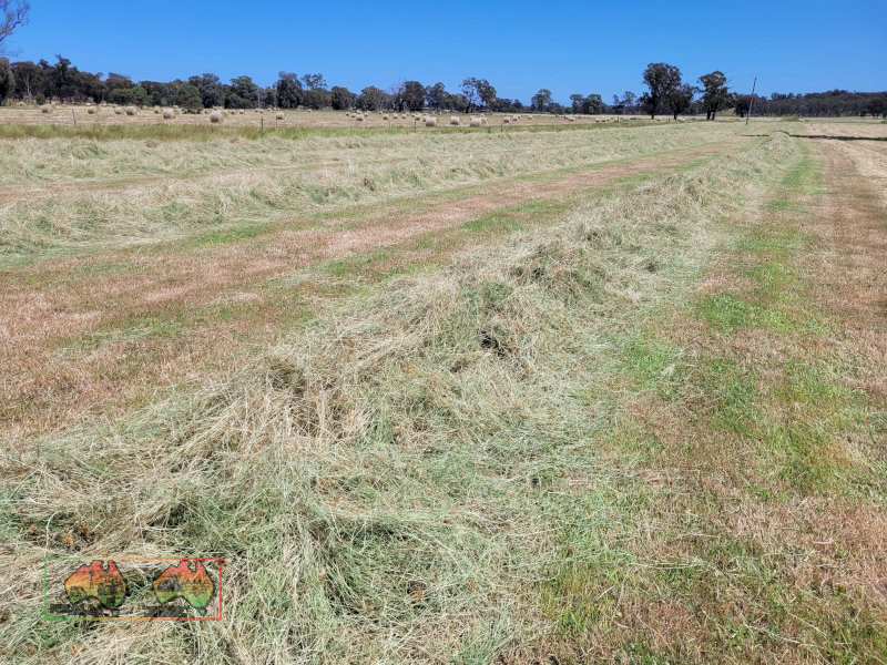 40x  Rolls of Sub & Rye Hay ($/bale) - photo 5