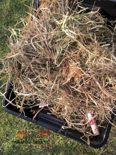 25x Rolls of Balansia Clover & Rye Hay ($/Roll) - photo 2