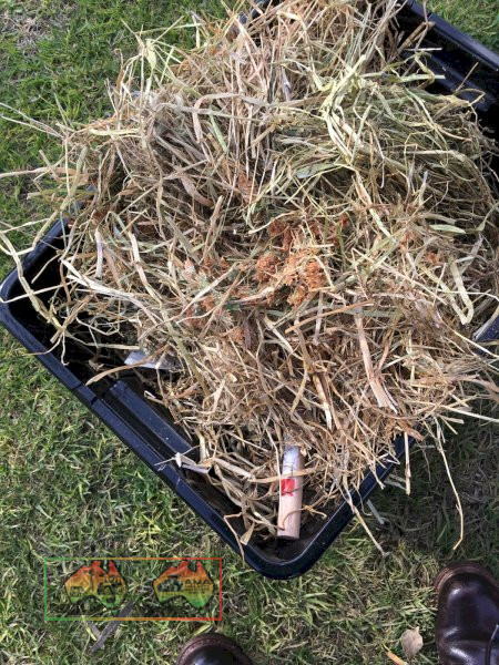 25x Rolls of Balansia Clover & Rye Hay ($/Roll) - photo 5