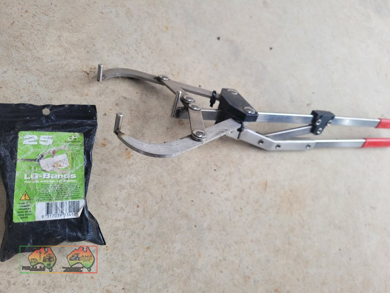 Calf Marking Band Applicator (New)