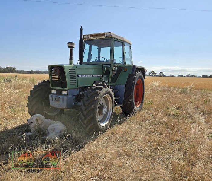 Deutz-Fendt Turbomatik Farmer 310 LSA - photo 2