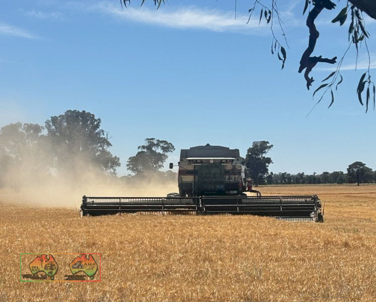 Gleaner R62 Combine Header - photo 2