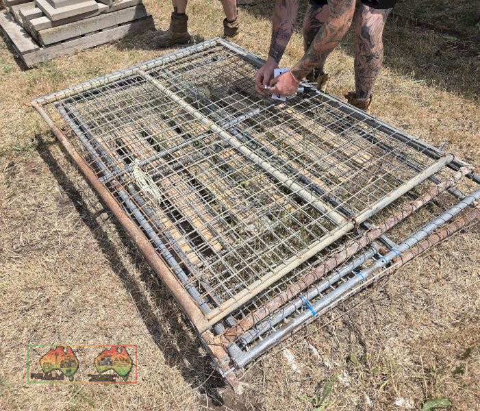 4x Weldmesh Panels - photo 2