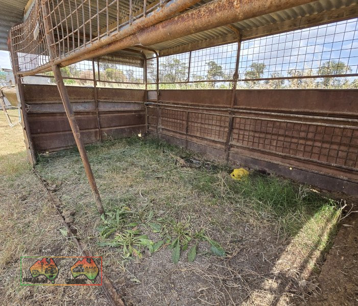 Crate / Calf Pen (13'4" x 7'7") - photo 4