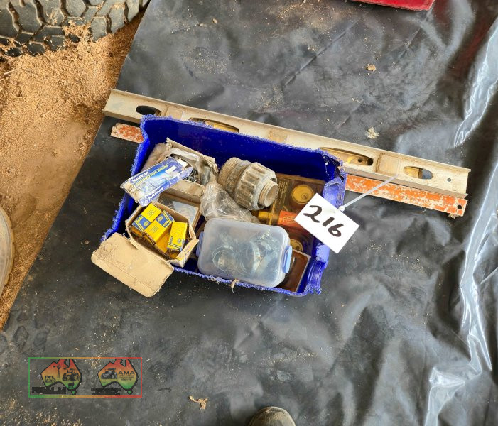 Auto Globes & Hose Clamps - photo 2