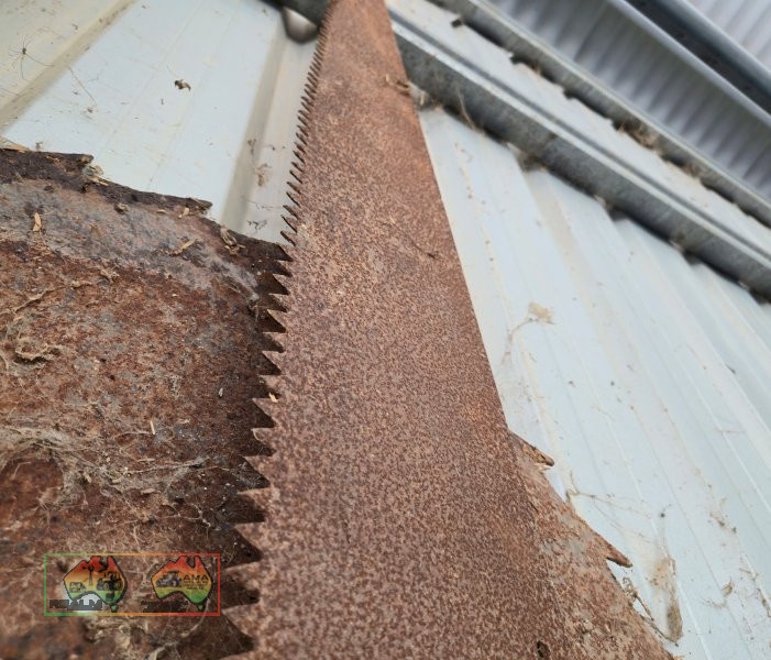 Circular Saw Blade & Hand Saw - photo 3