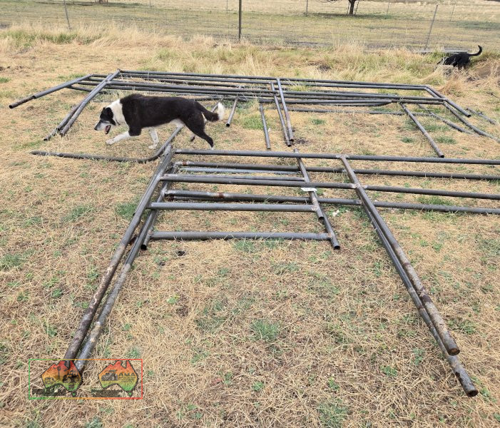 Steel Panels from Dis-used Horse Yard - photo 3