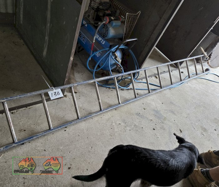 5m Alloy Painter's Ladder
