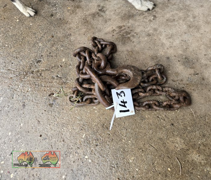 H/Duty Drag Chain - photo 2