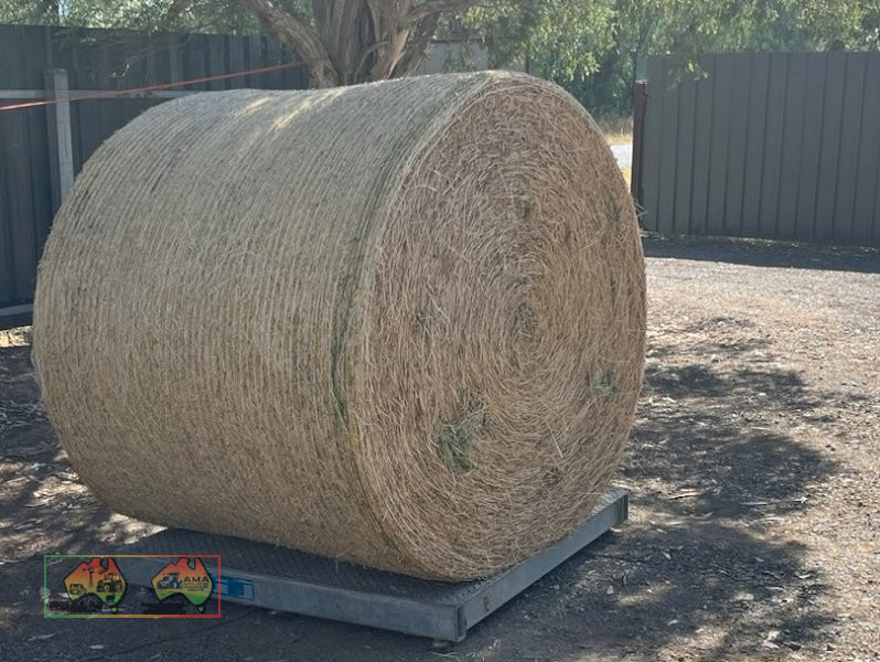 Quality Lucerne Hay 5x4 Rolls