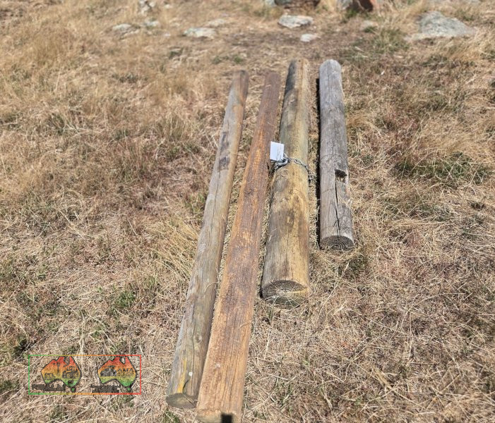 Pine Posts - photo 3