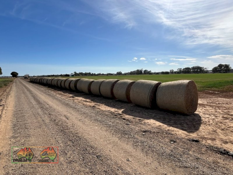 Lucerne & Paspalum Hay 5x4 Rolls - photo 4