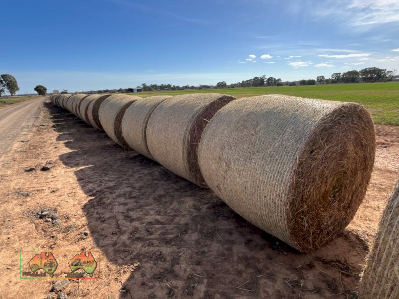 Lucerne & Paspalum Hay 5x4 Rolls - photo 3