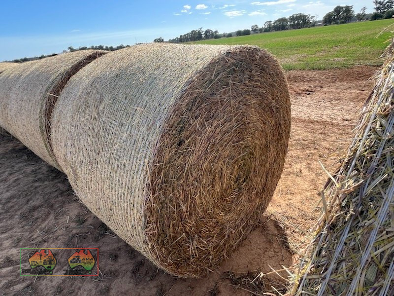 Lucerne & Paspalum Hay 5x4 Rolls