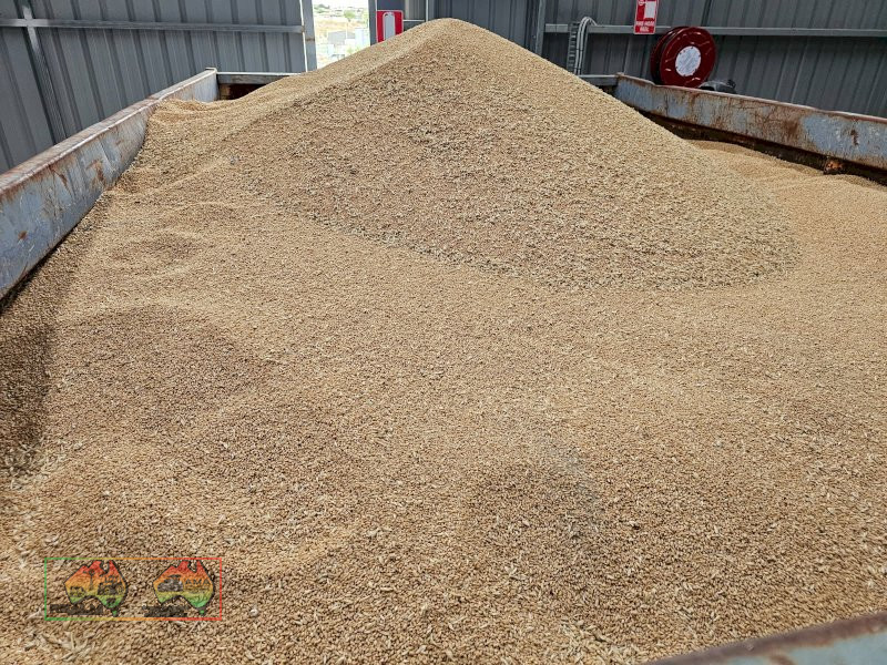 Feed Quality Bennett Wheat ($/ton) - photo 5