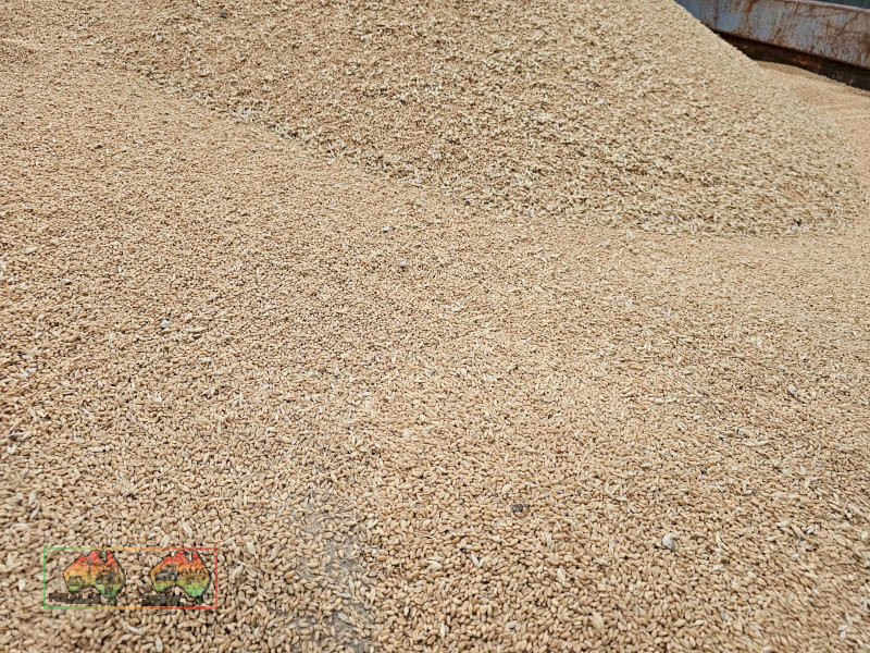 Feed Quality Bennett Wheat ($/ton) - photo 4