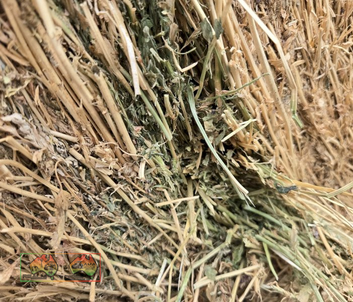Quality Lucerne Hay 5x4 Rolls - photo 8