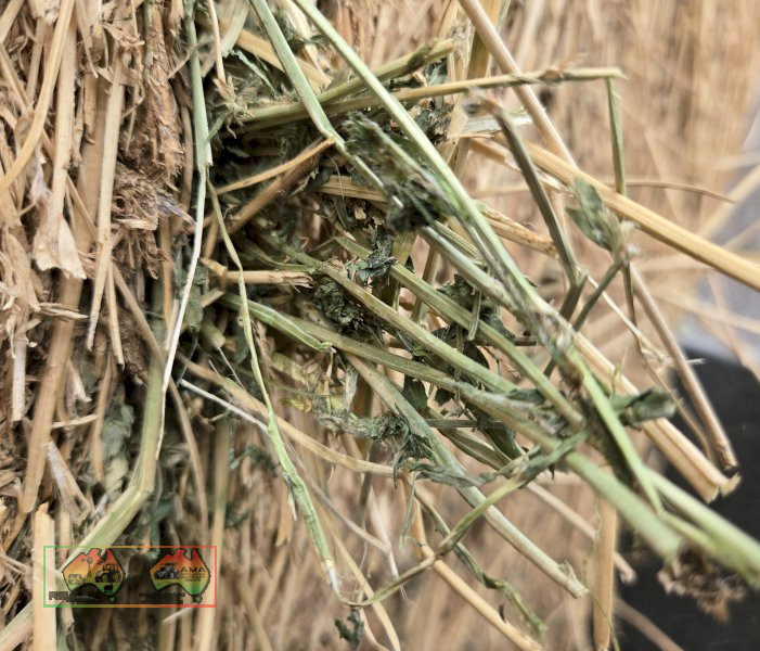 Quality Lucerne Hay 5x4 Rolls - photo 9
