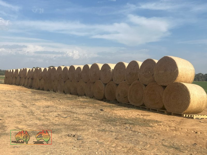 Quality Lucerne Hay 5x4 Rolls - photo 2