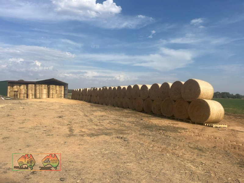 Quality Lucerne Hay 5x4 Rolls - photo 3
