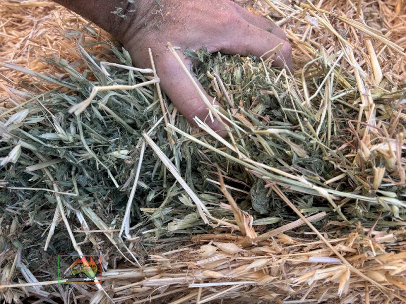 1st Cut Oats/Lucerne Hay ($/Bale) - photo 4