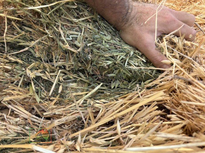 1st Cut Oats/Lucerne Hay ($/Bale) - photo 5