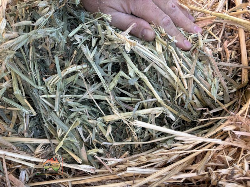 1st Cut Oats/Lucerne Hay ($/Bale) - photo 3
