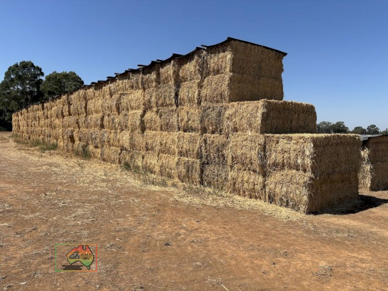 1st Cut Oats/Lucerne Hay ($/Bale) - photo 2