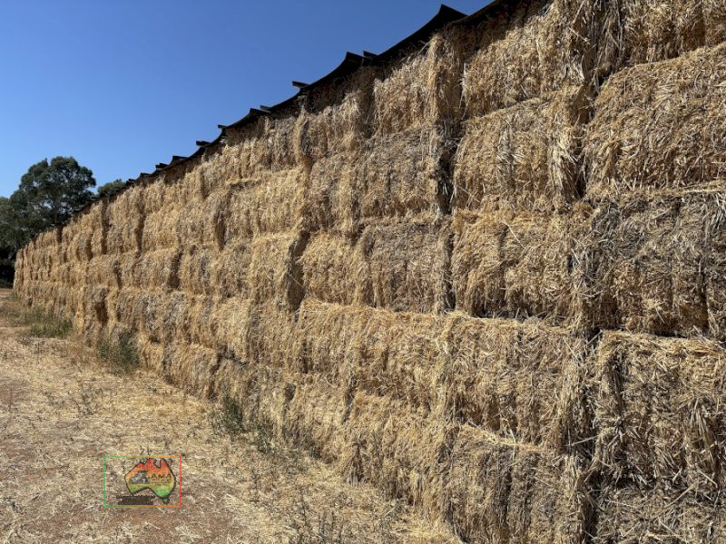 1st Cut Oats/Lucerne Hay ($/Bale)
