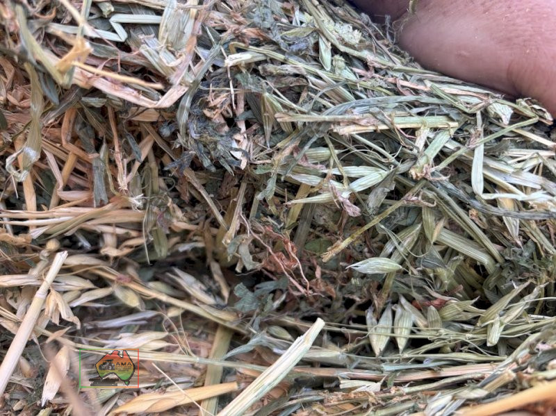 1st Cut Oats/Lucerne Hay ($/Bale) - photo 6