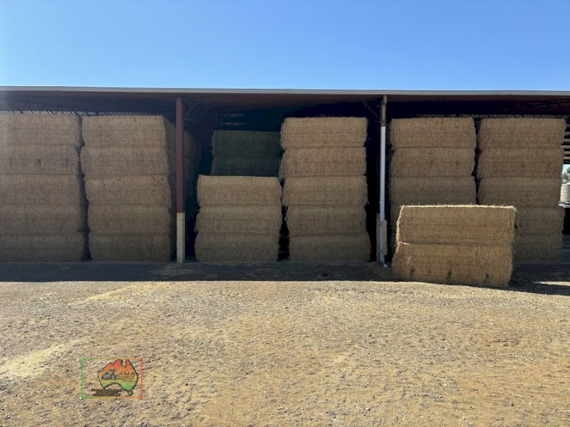 2nd Cut Lucerne Hay ($/Bale) - photo 2