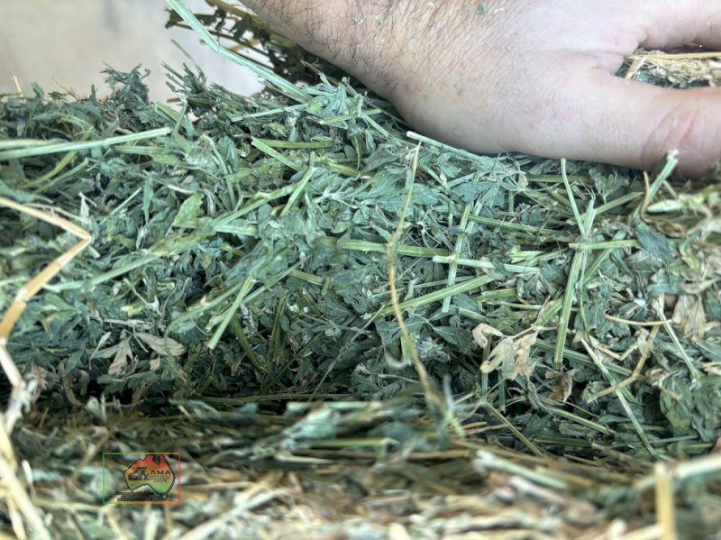2nd Cut Lucerne Hay ($/Bale) - photo 4