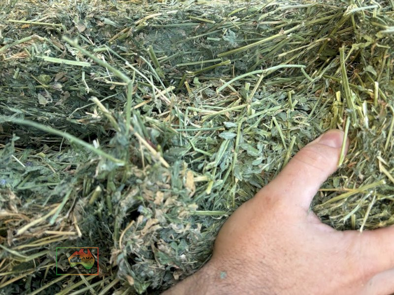 2nd Cut Lucerne Hay ($/Bale) - photo 5