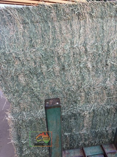 3rd Cut Lucerne Hay ($/Bale) - photo 8