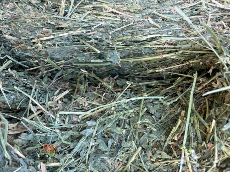 3rd Cut Lucerne Hay ($/Bale) - photo 6