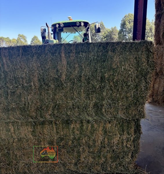 3rd Cut Lucerne Hay ($/Bale) - photo 2