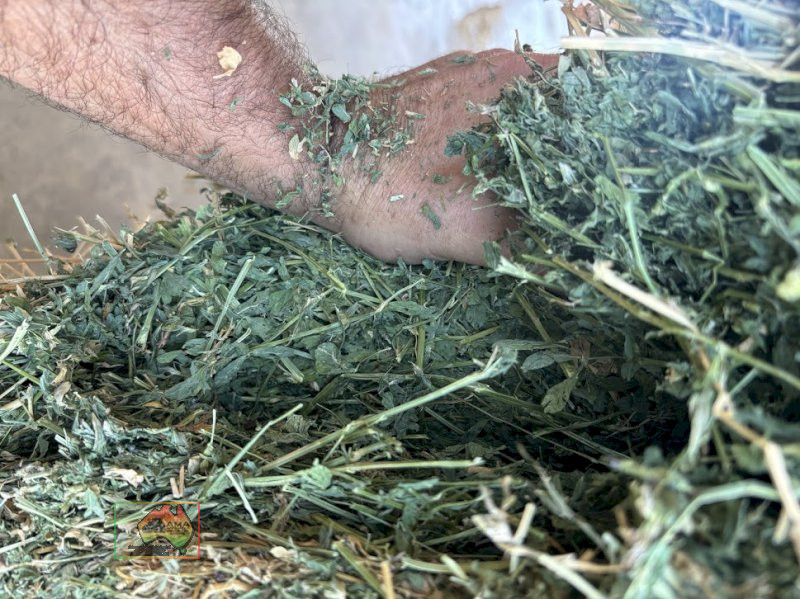 Cattle Quality Lucerne ($/ton) - photo 5
