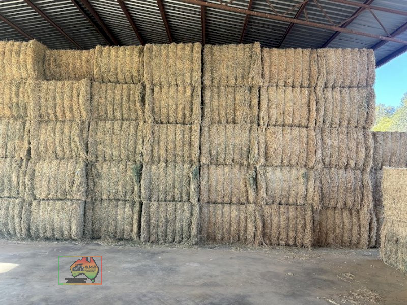 Cattle Quality Lucerne ($/ton)