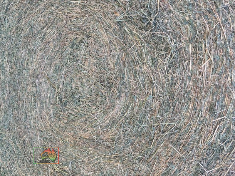 5x4 Quality Lucerne ($/Roll) - photo 2