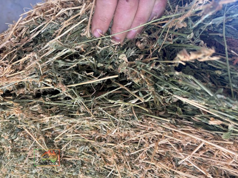 5x4 Quality Lucerne ($/Roll) - photo 6
