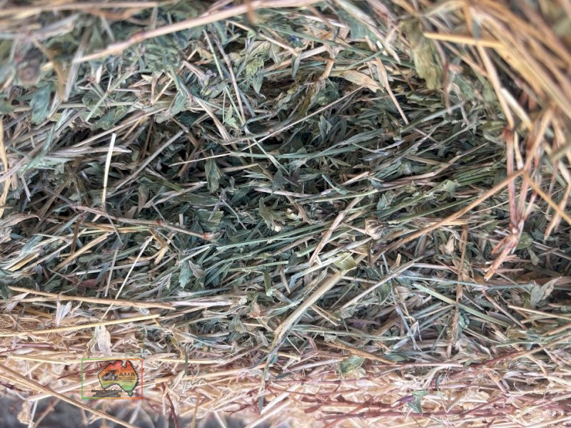 5x4 Quality Lucerne ($/Roll) - photo 4