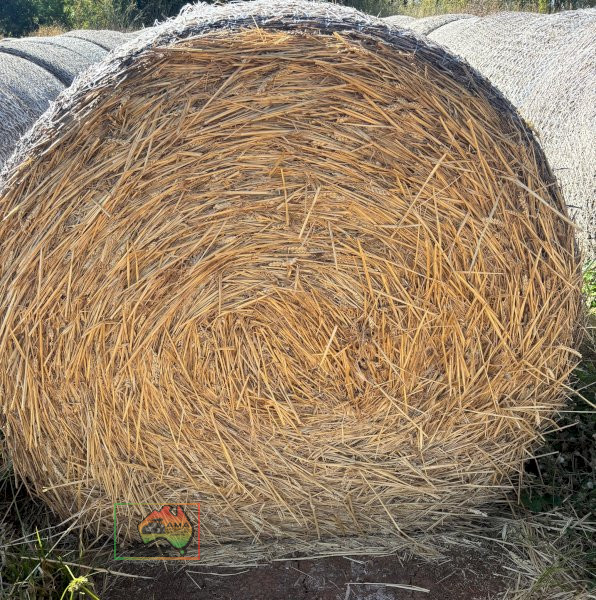 5x4 Quality Wheat & Grass ($/Roll) - photo 2