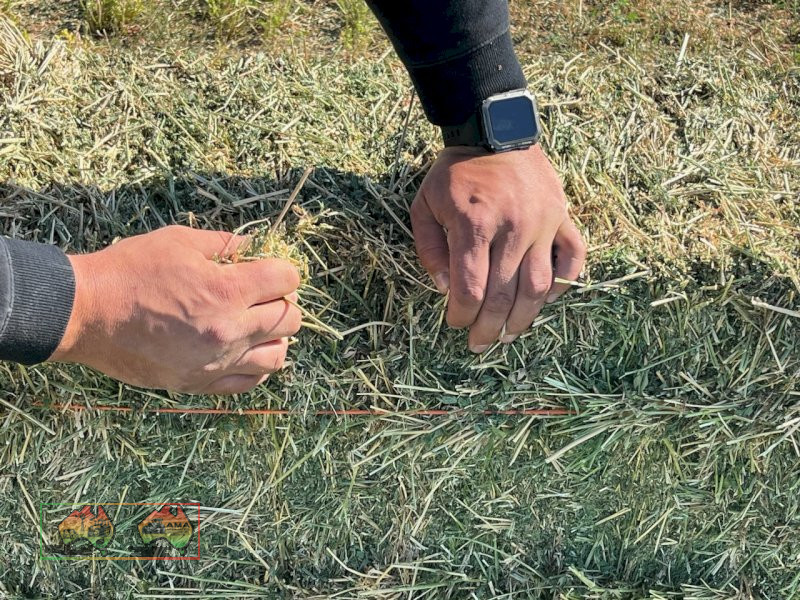 Horse Quality Lucerne Hay ($/bale) - photo 6