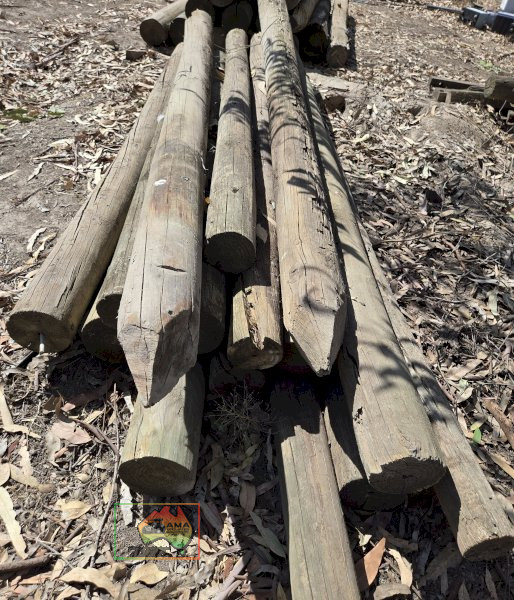 16x 4" Pine Posts - photo 3