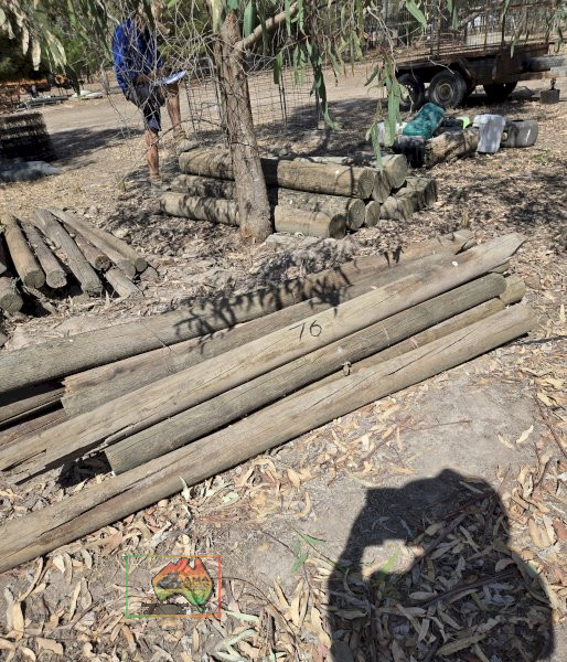 16x 4" Pine Posts - photo 2