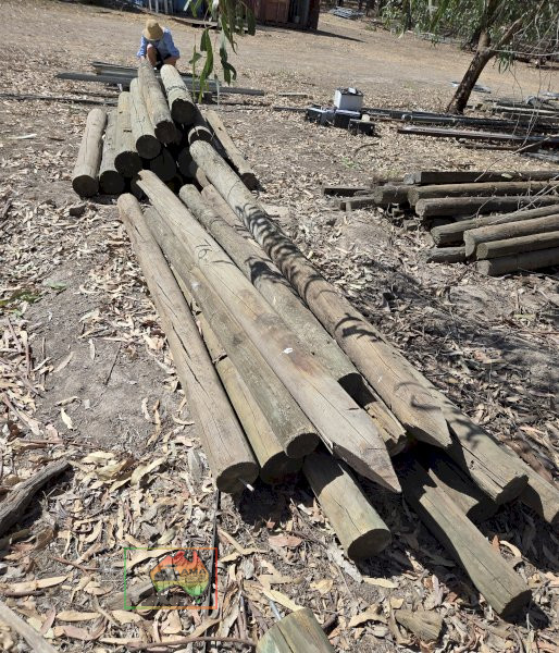 16x 4" Pine Posts